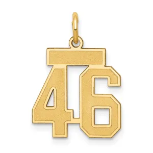 14K Gold Satin Number 46 Charm with Brushed Finish Small
