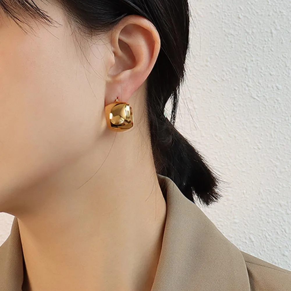 Boxed 2 Pairs of Hannah Hoop Earrings Set