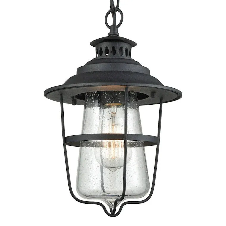 Braswell Outdoor Pendant