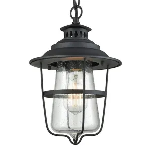 Braswell Outdoor Pendant