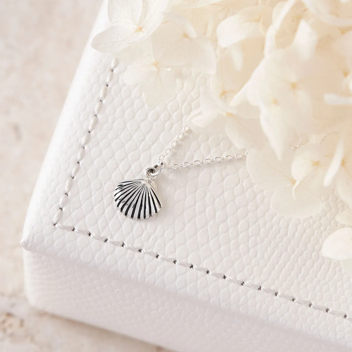 Dainty Seashell Choker