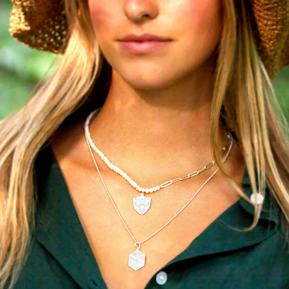 National Park Necklace Bundle, 2 silver charms