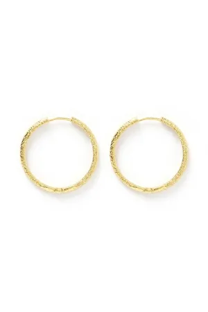 Sebastian Gold Hoop Earrings