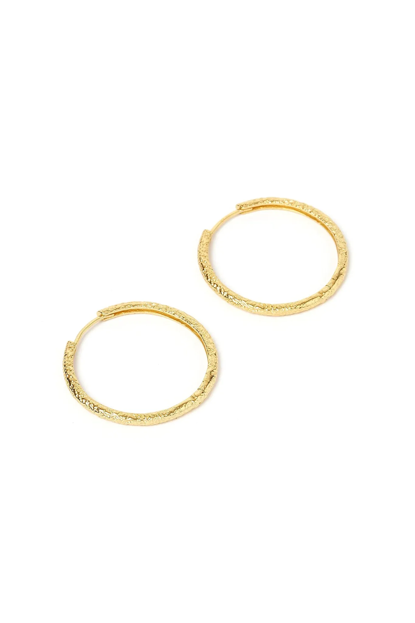 Sebastian Gold Hoop Earrings