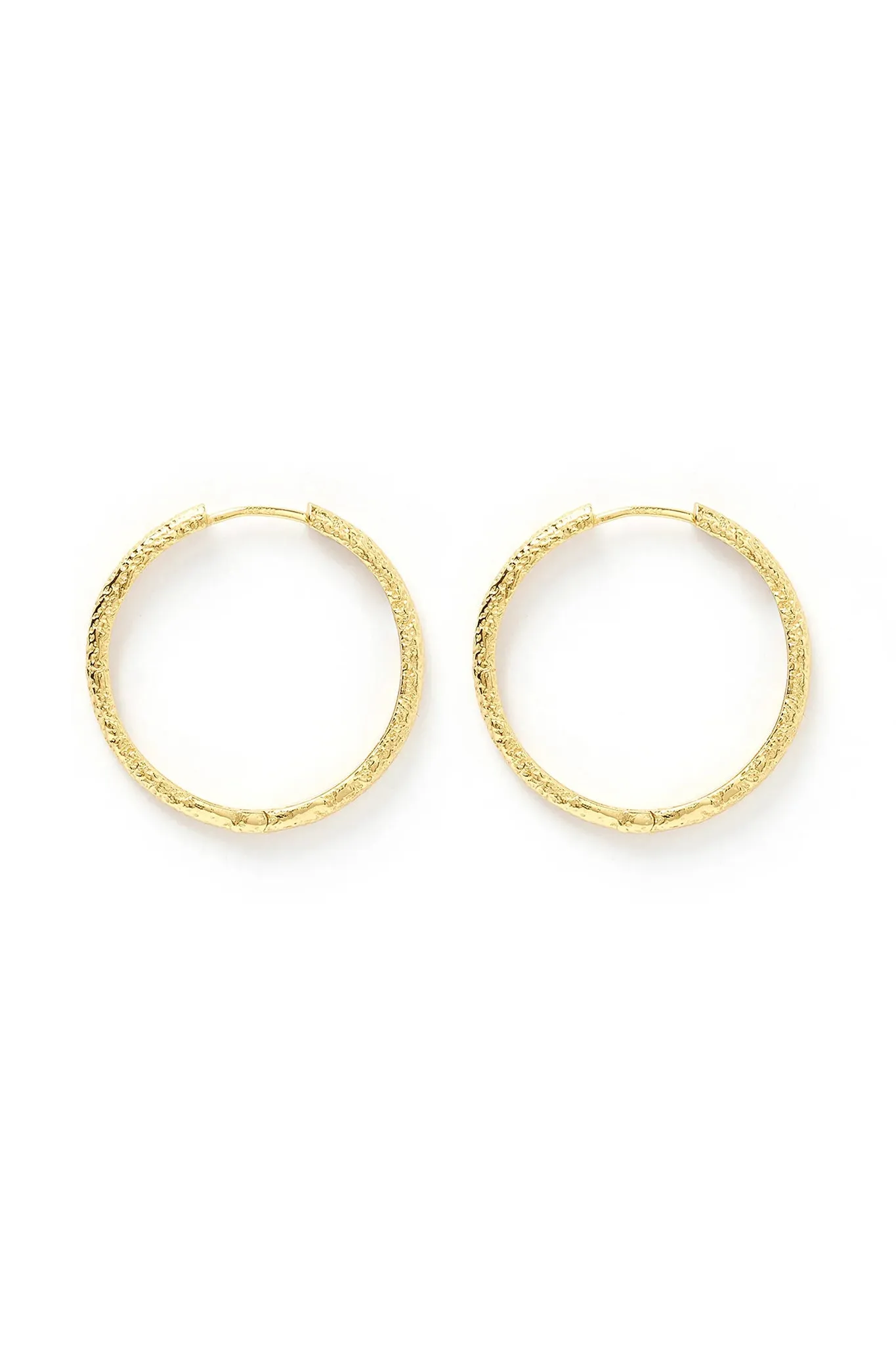 Sebastian Gold Hoop Earrings