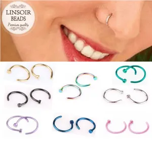 Titanium Nose Rings
