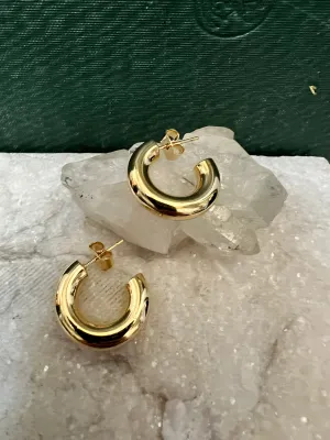 Zelda Hoops
